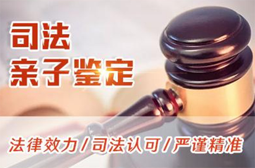 舟山司法DNA鉴定需要如何做,舟山司法亲子鉴定收费是多少